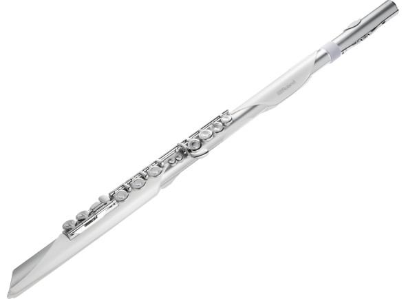 <b>Roland Aerophone BRISA AE-BRISA Flauta Transversal Digital</b> <b>Roland Aerophone BRISA AE-BRISA Flauta Transversal Digital</b>